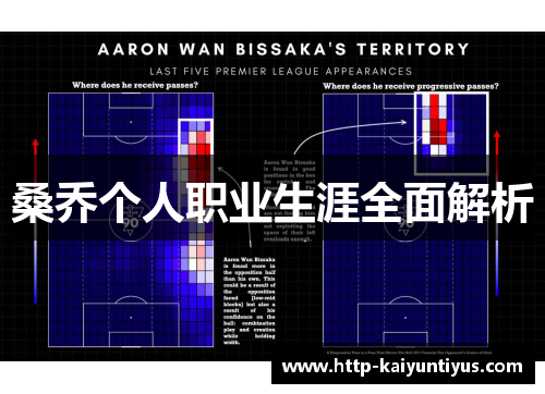 桑乔个人职业生涯全面解析