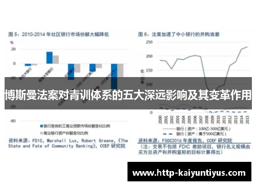 博斯曼法案对青训体系的五大深远影响及其变革作用