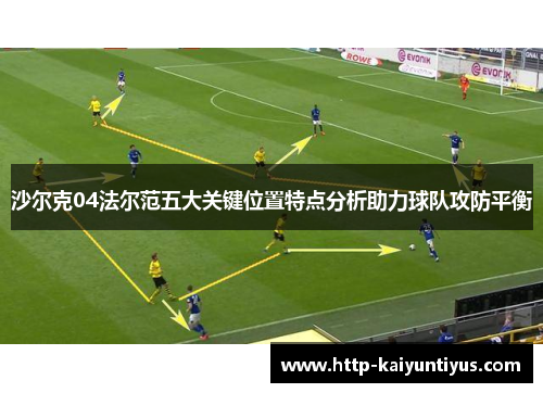 沙尔克04法尔范五大关键位置特点分析助力球队攻防平衡