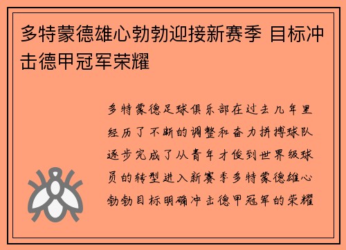多特蒙德雄心勃勃迎接新赛季 目标冲击德甲冠军荣耀