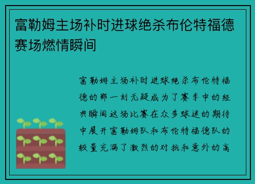 富勒姆主场补时进球绝杀布伦特福德赛场燃情瞬间