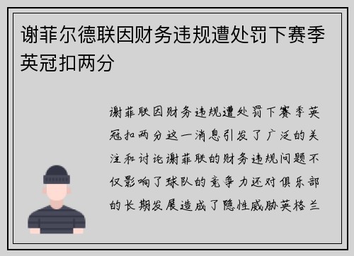 谢菲尔德联因财务违规遭处罚下赛季英冠扣两分